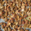 High efficient almond shell and kernels separating machine